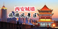 欧美性爱网新网址中国陕西-西安城墙旅游风景区